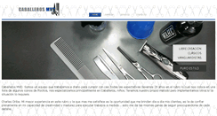 Desktop Screenshot of caballerosmvd.com